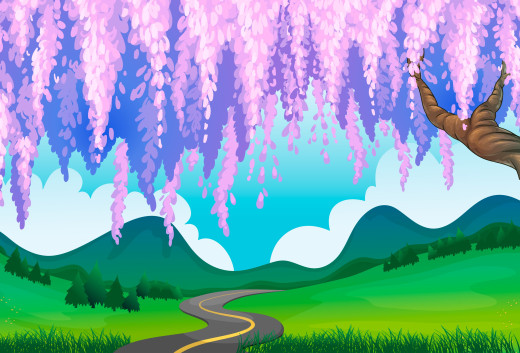 1083034 (a): :3000x2035